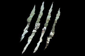 Hölle der Löwen – der Freitag digital