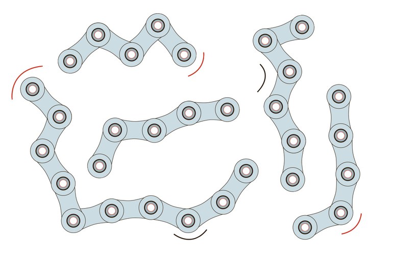 Goldesel der Freitag digital