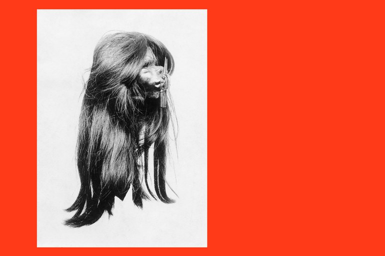 Ein Schrumpfkopf erzählt der Freitag digital